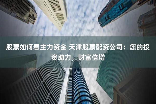 股票如何看主力资金 天津股票配资公司：您的投资助力，财富倍增