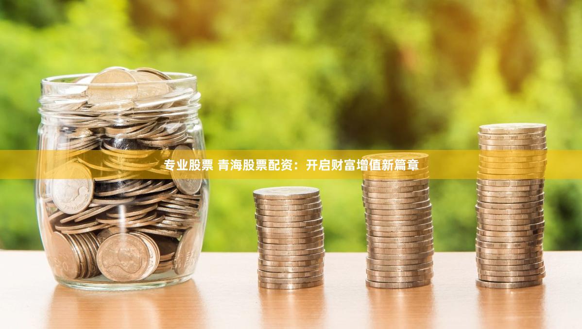 专业股票 青海股票配资：开启财富增值新篇章