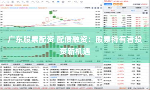 广东股票配资 配债融资：股票持有者投资新机遇