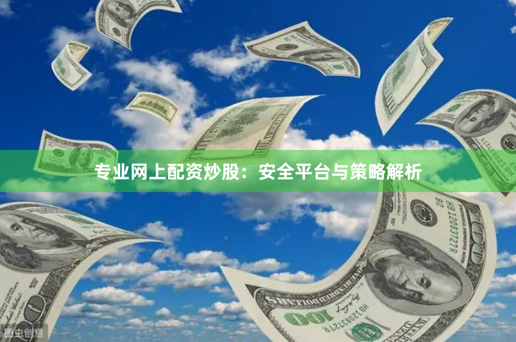 专业网上配资炒股：安全平台与策略解析